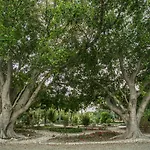 Parco Delle Fontane Hotel 4*